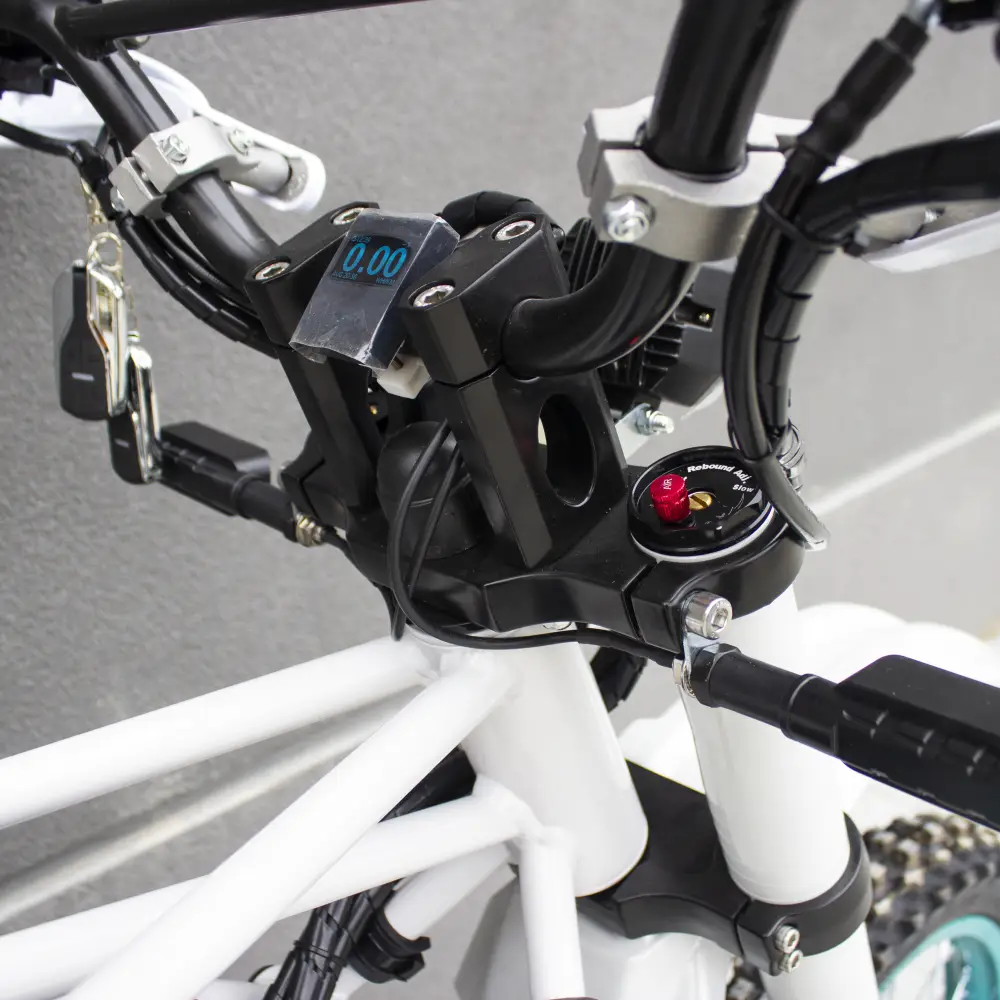 Electirc bike, ebike ELEEK Positive - foto 6